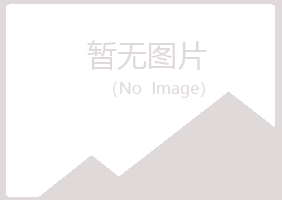 黄山雅山机械有限公司